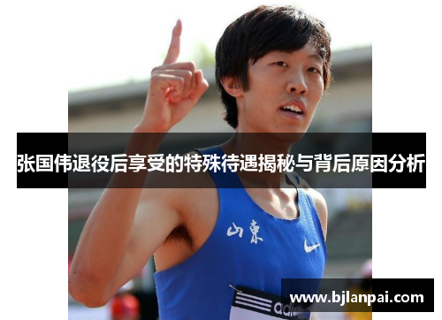 张国伟退役后享受的特殊待遇揭秘与背后原因分析 张国伟退役后享受的特殊待遇揭秘与背后原因分析